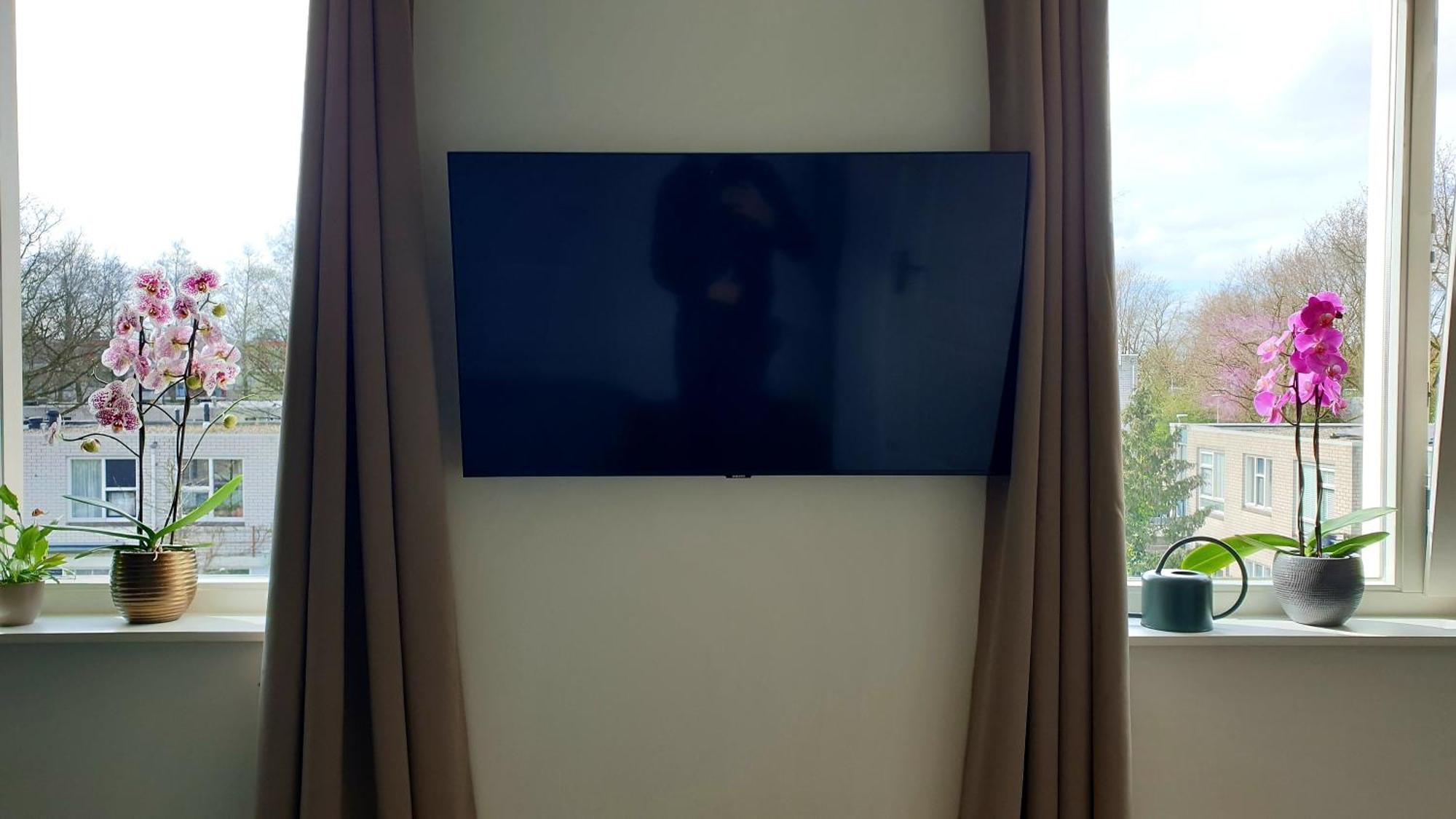 Amor Guesthouse Amsterdam Buitenkant foto