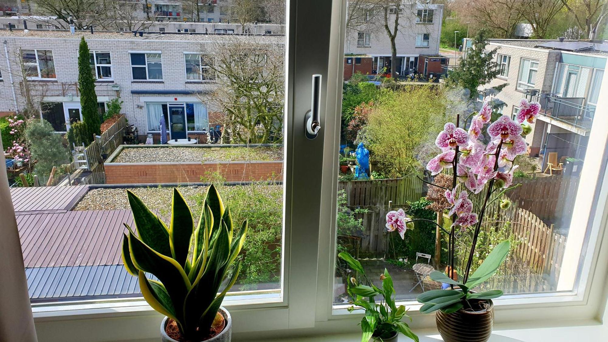Amor Guesthouse Amsterdam Buitenkant foto